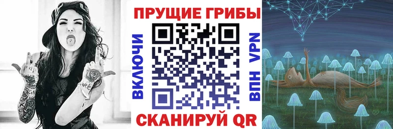 купить  цена  блэк спрут ссылки  Галлюциногенные грибы Cubensis  Николаевск 